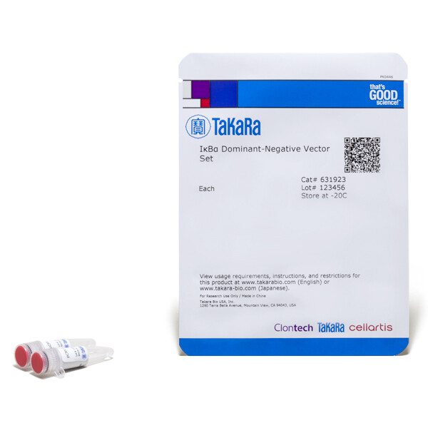 细胞信号转导-IκBα显性失活分析载体 - Clontech
