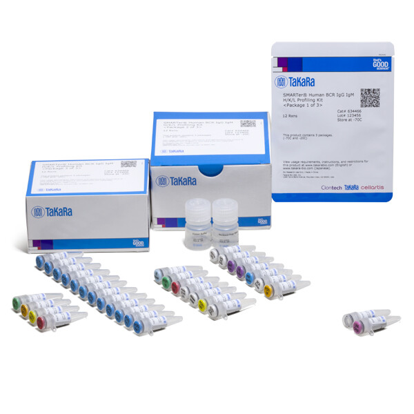 捕获人BCR转录本完整V(D)J 可变区的试剂 - Clontech