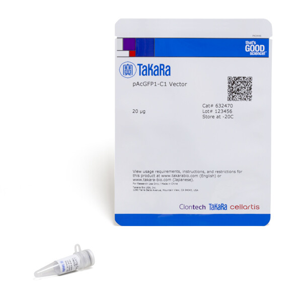 pAcGFP3荧光蛋白载体 - Clontech