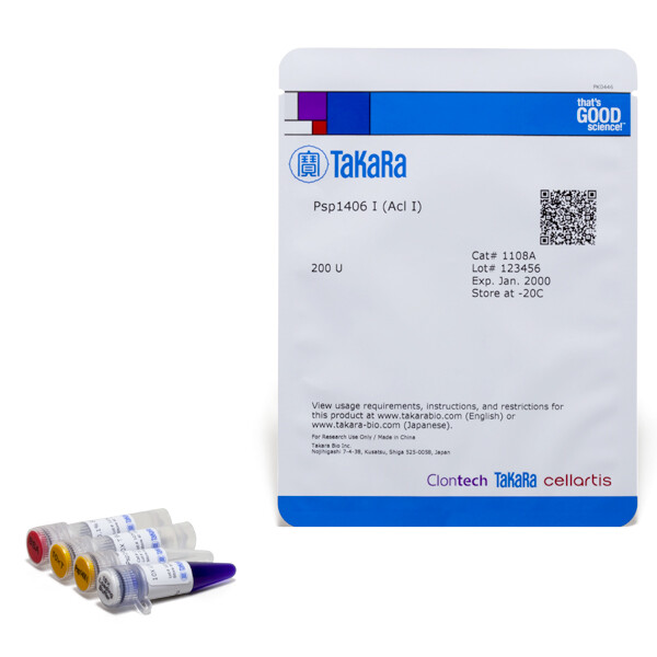 常规限制酶Psp1406 I (Acl I) - Takara