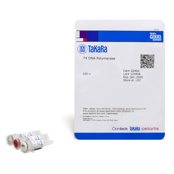 T4 DNA 聚合酶 - Takara