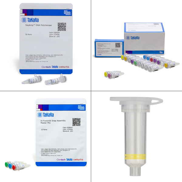 SMARTer RACE 5’/3’ Kit （各2个：634860-20℃-70℃,638504-20℃,638947-20℃,U0609A RT） - Clontech