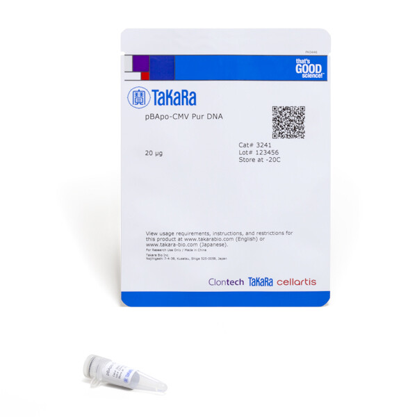 哺乳动物细胞表达载体pBApo-CMV Pur DNA - Takara