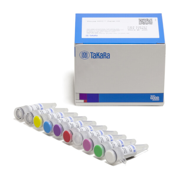 小鼠多组织cDNA MTC Panel III - Clontech