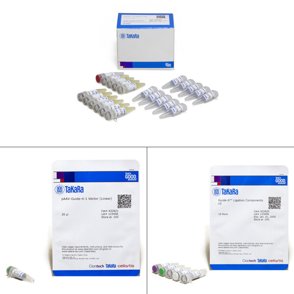 CRISPR/Cas9腺相关病毒载体系统 - Clontech