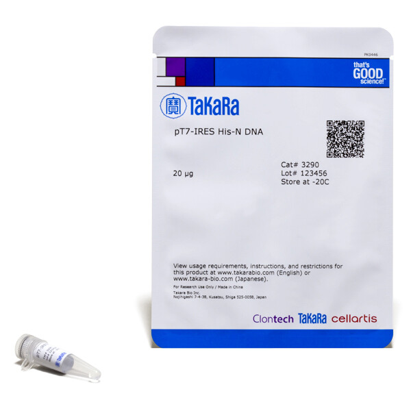pT7-IRES His-N DNA载体 - Takara
