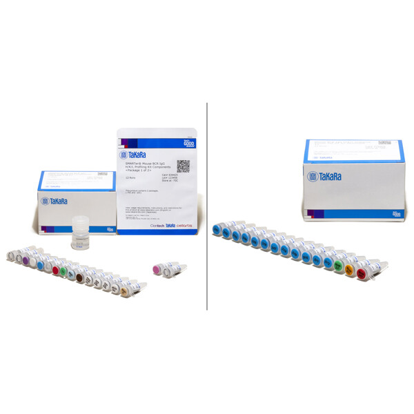 捕获小鼠BCR转录本完整V(D)J 可变区的试剂 - Clontech