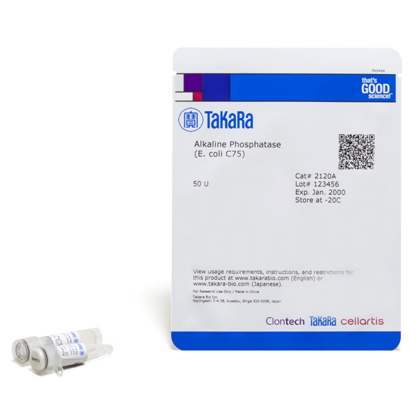 碱性磷酸酶(E. coli C75来源) - Takara