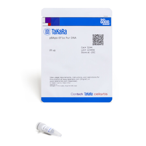 哺乳动物细胞表达载体pBApo-EF1α Pur DNA - Takara
