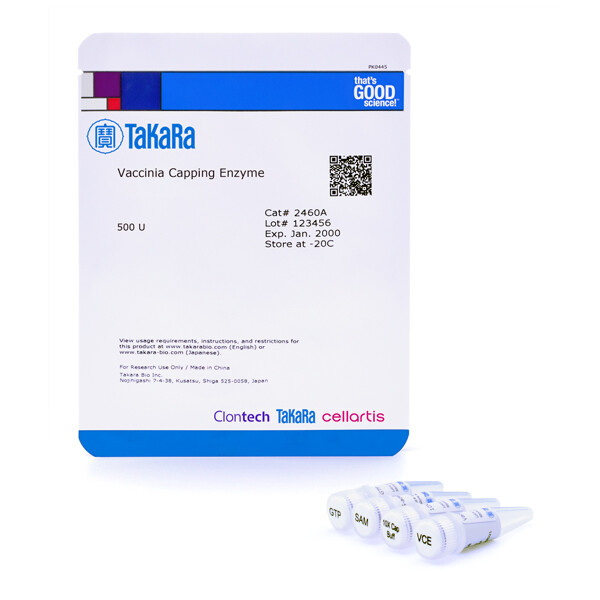 加帽酶Vaccinia Capping Enzyme - Takara