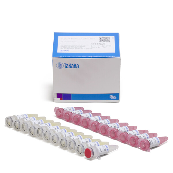 电转法用于In Fusion克隆的感受态细胞 - Clontech