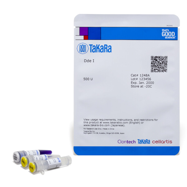 常规限制酶Dde I - Takara