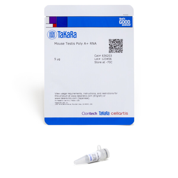 小鼠睾丸器官来源含有Poly A尾的RNA - Clontech