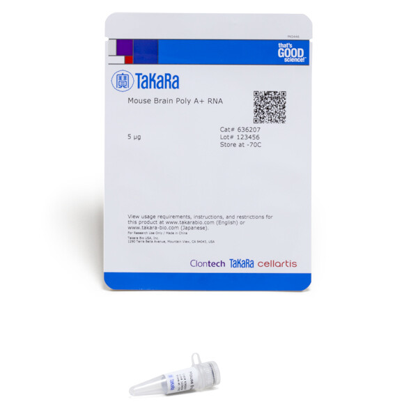 小鼠脑器官来源含有Poly A尾的RNA - Clontech