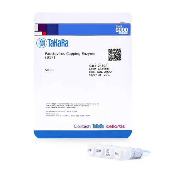 加帽酶Faustovirus Capping Enzyme (S17) - Takara