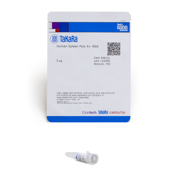 人脾脏器官来源含有Poly A尾的RNA - Clontech