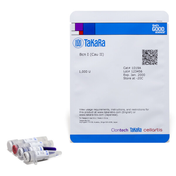 常规限制酶Bcn I (Cau II) - Takara