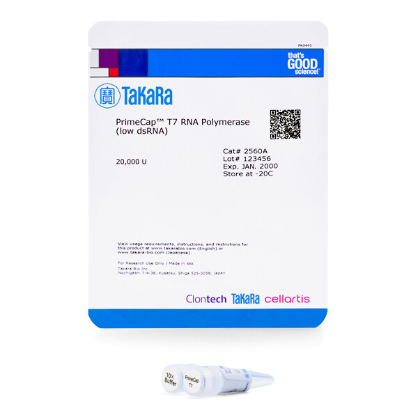 改良型T7 RNA聚合酶PrimeCap T7 RNA Polymerase (low dsRNA) - Takara