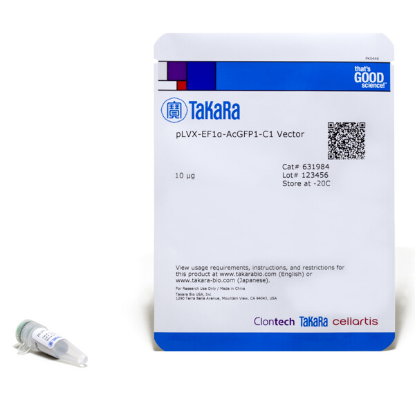 慢病毒—EF-1 Alpha启动子AcGFP1-C1 荧光蛋白载体 - Clontech