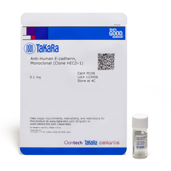 单克隆抗体Anti-Human E-cadherin, Monoclonal（Clone HECD-1） - Takara