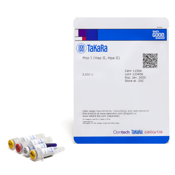 常规限制酶Msp I (Hpa II, Hap II) - Takara