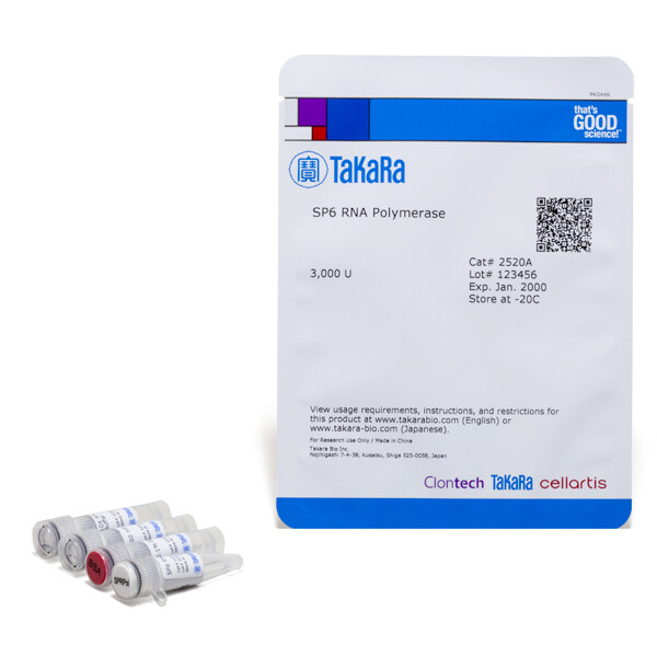 SP6 RNA 聚合酶 - Takara
