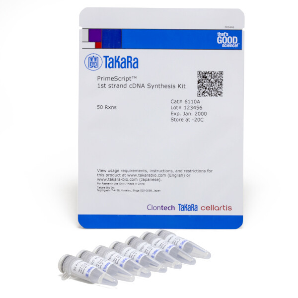 PrimeScript 1链cDNA（单链cDNA)合成试剂盒 - Takara