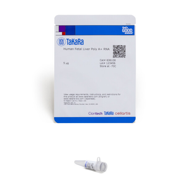 人胎儿肝脏器官来源含有Poly A尾的RNA - Clontech