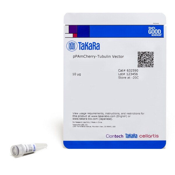 慢病毒-pAmCherry-Tubulin荧光蛋白表达载体 - Clontech