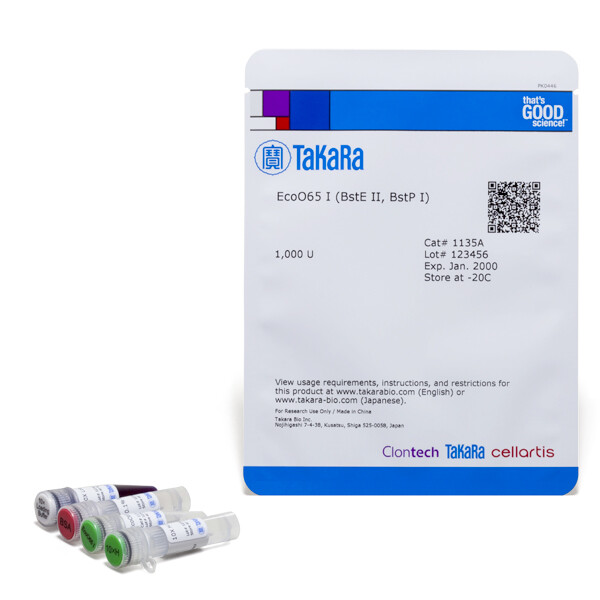 常规限制酶EcoO65 I (BstE II, BstP I) - Takara
