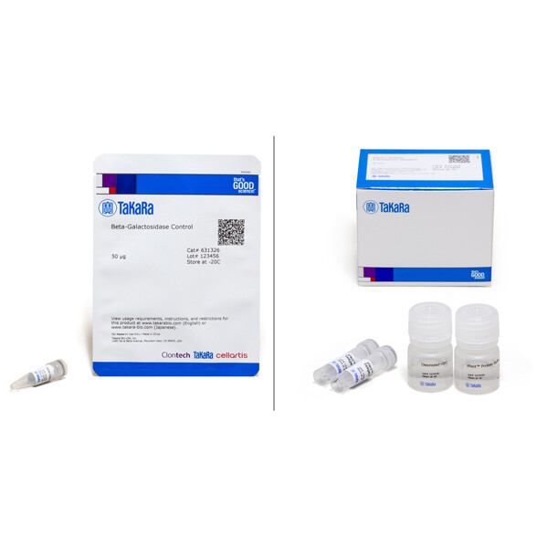 xfect蛋白转染试剂 - Clontech