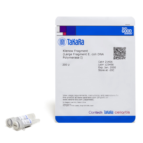 Klenow DNA聚合酶 (Large Fragment E. coli DNA Polymerase I) - Takara
