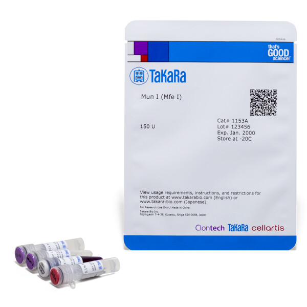常规限制酶Mun I (Mfe I) - Takara