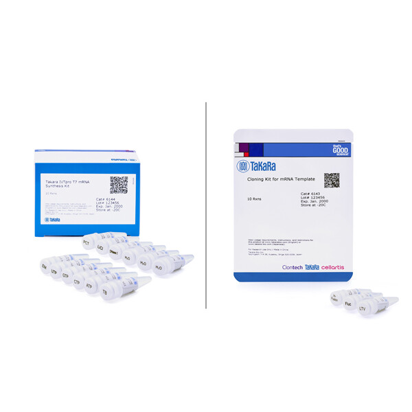 体外转录（IVT）试剂盒Takara IVTpro mRNA Synthesis System - Takara