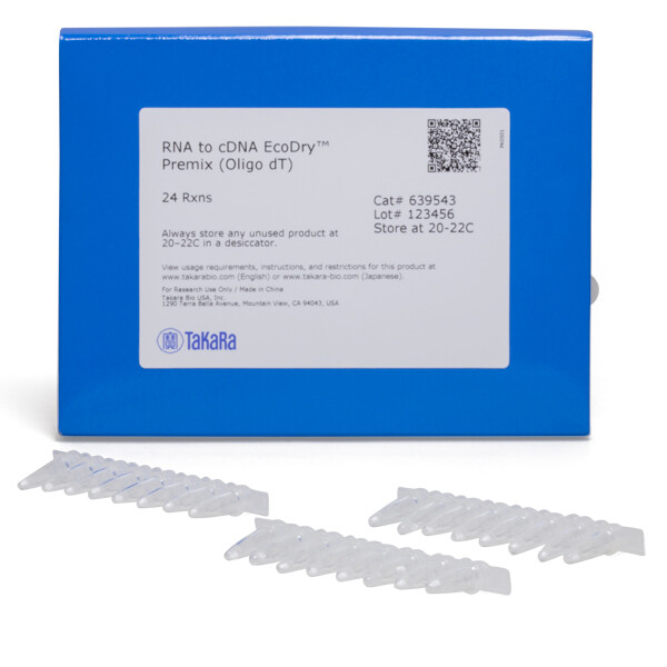 即用型RNA to cDNA 预混试剂盒(Oligo dT) - Clontech