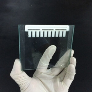 Tris-Glycine蛋白预制胶，4-20%，10孔，1.5mm - BioKit