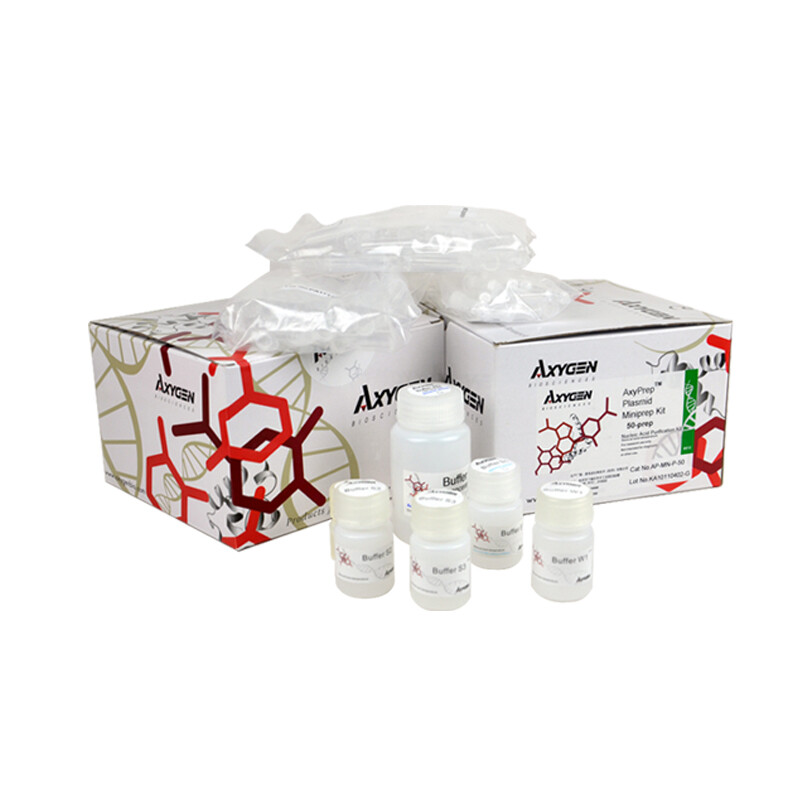 AxyPrep Mag 磁珠法PCR产物标准化试剂盒 - AxyKit