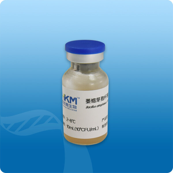 枯草芽孢悬液 ATCC9372 - 环凯生物