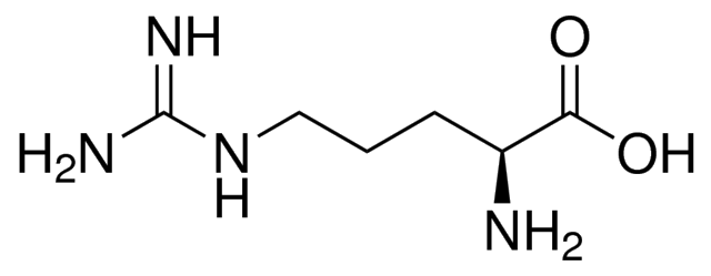 L-精氨酸，一氧化氮合成的前体 - 阿拉丁