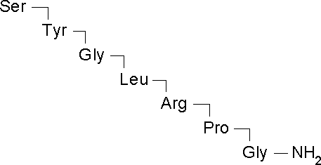 Adrenocorticotropic Hormone Fragment 1-24 human，强大的ACTH / MC 2受体激动剂 - 阿拉丁