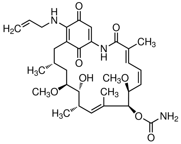 17-AAG，高效的选择性HSP90抑制剂 - 阿拉丁