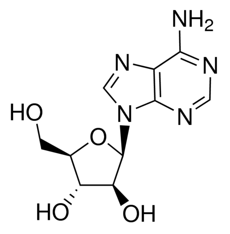 阿糖腺苷 - 阿拉丁