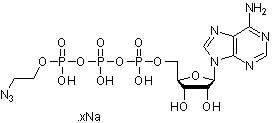 γ-[2-叠氮基乙基] -ATP（水溶液），体外磷酸化试剂 - 阿拉丁