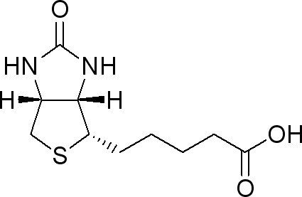 D-生物素，酶辅因子用于生化分析的蛋白质偶联物 - 阿拉丁