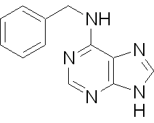 6-苄氨基嘌呤，合成细胞分裂素 - 阿拉丁