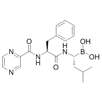 Bortezomib (PS-341)，强效，选择性，可逆\ xa0蛋白酶体抑制剂 - 阿拉丁