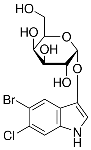 5-溴-6-氯-3-吲哚基-β-D-半乳糖皮蒽 (约含10% 乙酸乙酯) [用于生化研究]，发色β-半乳糖苷酶底物 - 阿拉丁