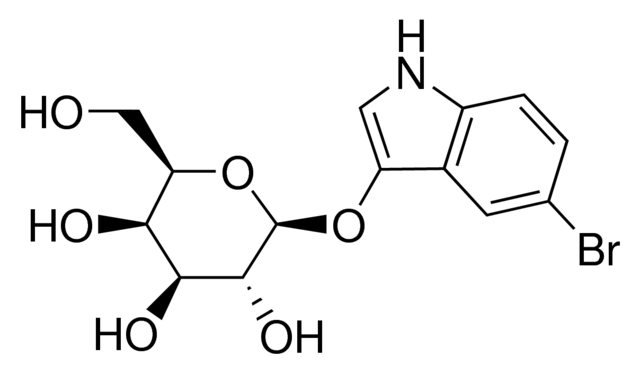 5-溴-3-吲哚基-β-D-半乳糖皮蒽 [用于生化研究]，显色β-半乳糖苷酶底物 - 阿拉丁