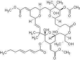 Bryostatin 1，强大的蛋白激酶C激活剂 - 阿拉丁