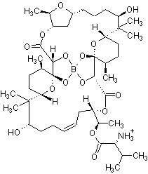 博来霉素，大环内酯类抗生素剂有效的抗HIV剂 - 阿拉丁